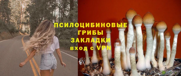 соль курить ск Алексеевка