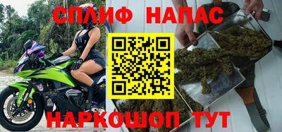 крисы Кунгур