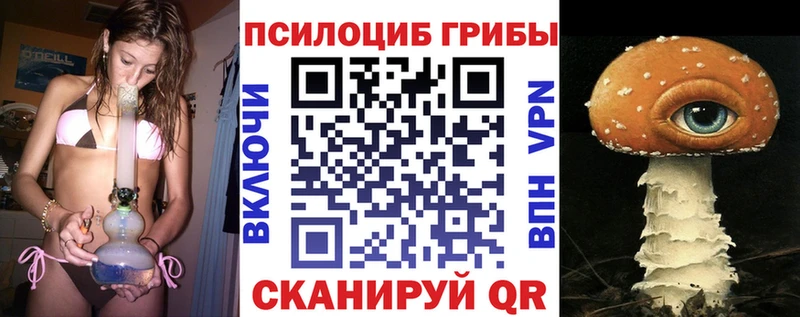 Псилоцибиновые грибы Cubensis  купить закладку  darknet Telegram  Ипатово 