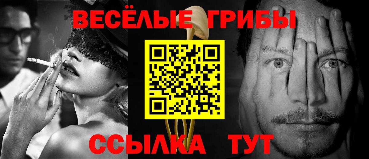 Псилоцибиновые грибы прущие грибы  Вход с VPN  сколько стоит  Ипатово 